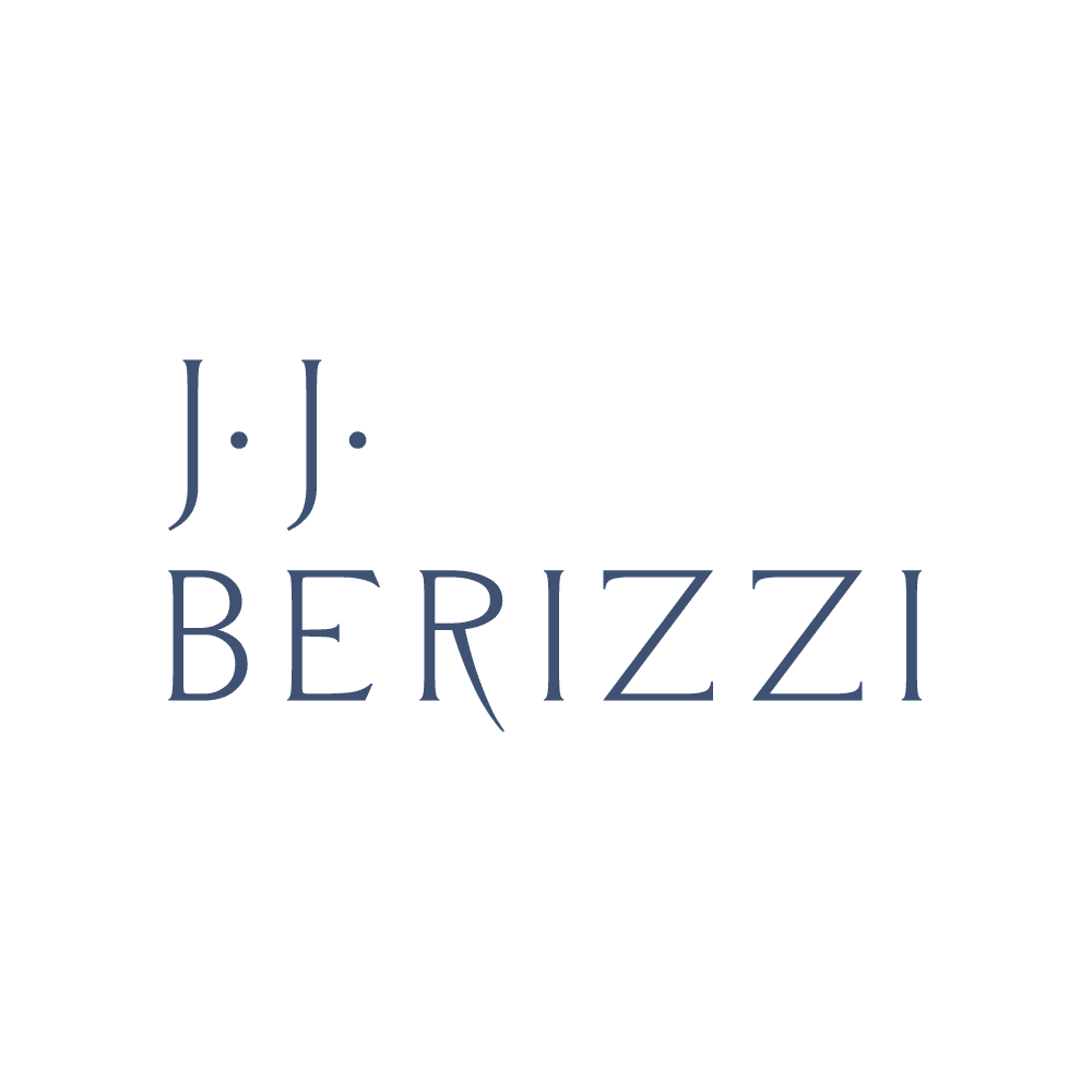 Berizzi Logo